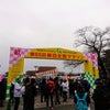 勝田全国マラソンの画像