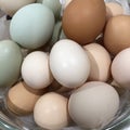卵のパック♬