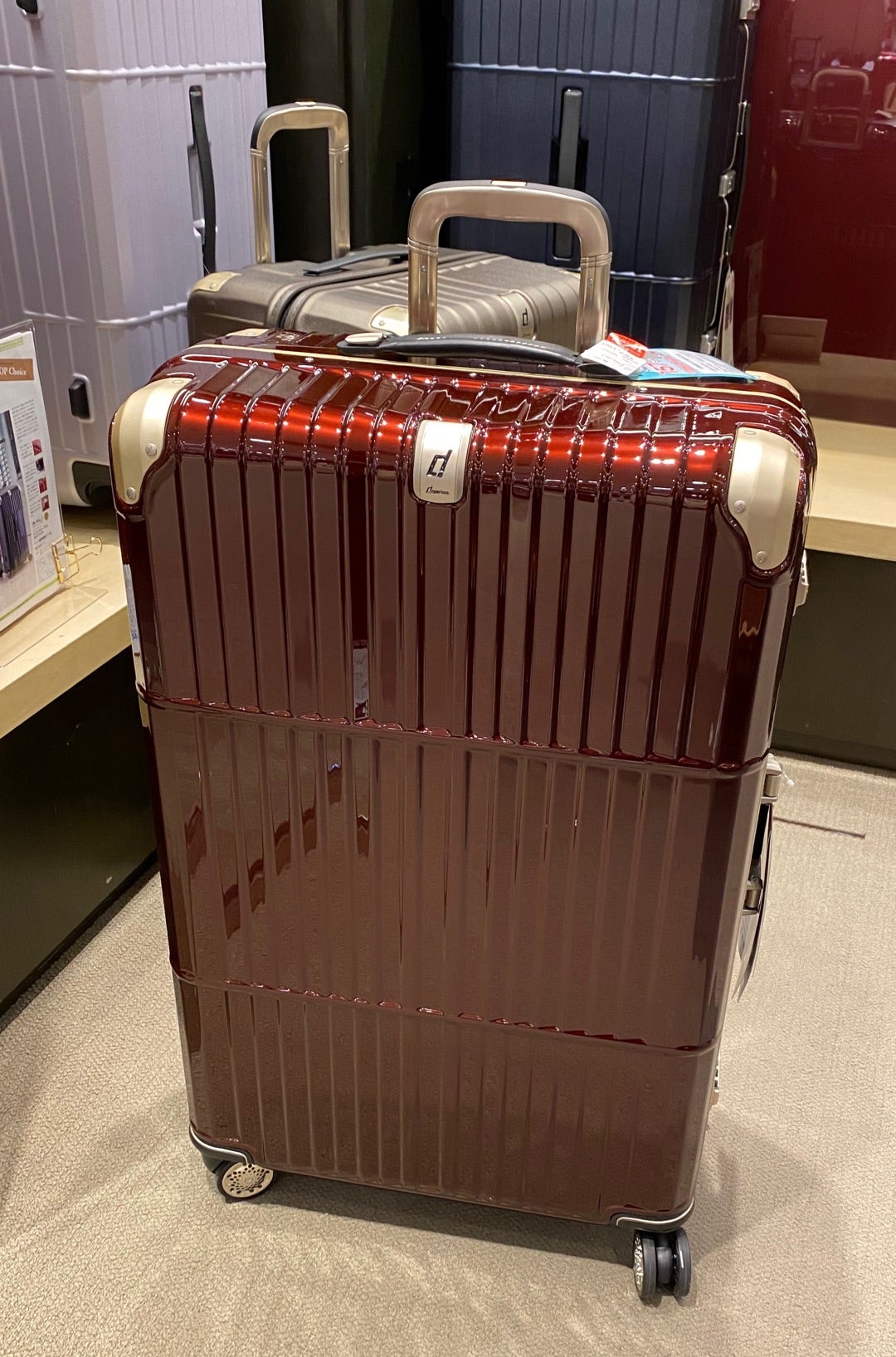 あら可愛い♪(^ ^)アナ雪のスーツケース＆無事に買えました！ | 「吉田 