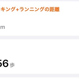 画像 本日のレオノエル の記事より 6つ目