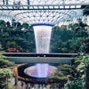 シンガポール 湯の森の画像