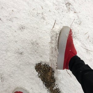 秋田弁クイズ！　靴の裏についた雪の塊をなんと言う？の画像