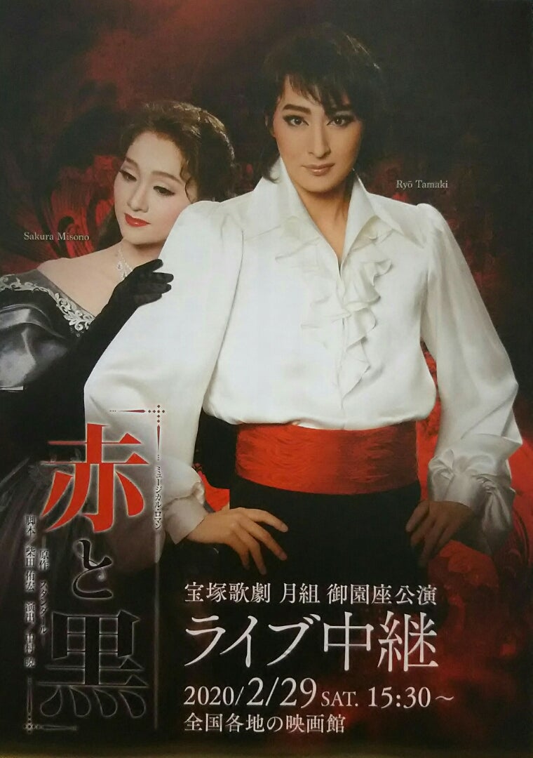 無料サンプルOK 宝塚 歌劇 ミュージカルロマン 赤と黒 安蘭けい DVD フォト 写真