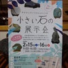 水石の画像