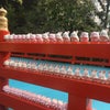 3/18（水）京都癒しの旅企画「干支の神社参拝、ご縁を結ぶ伝統工芸体験と京料理の旅」の画像