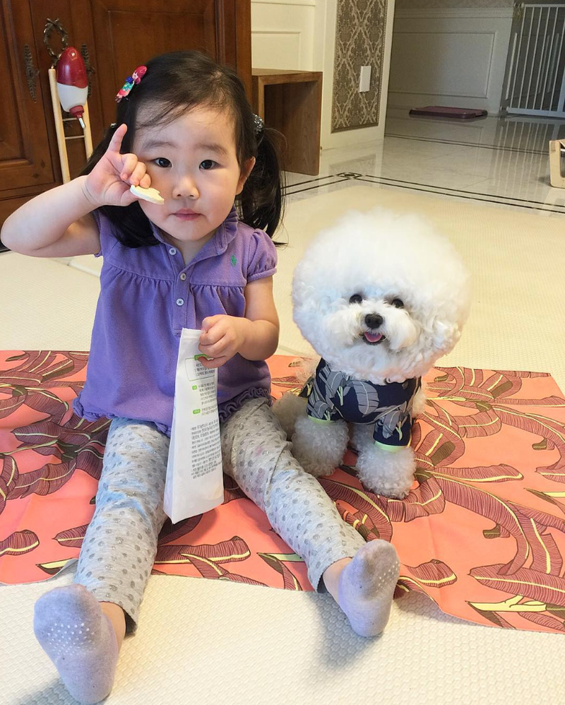 シロ わたあめ クレヨンしんちゃんのシロの特技を完璧にマスターした犬あらわる zoolove 2020のブログ