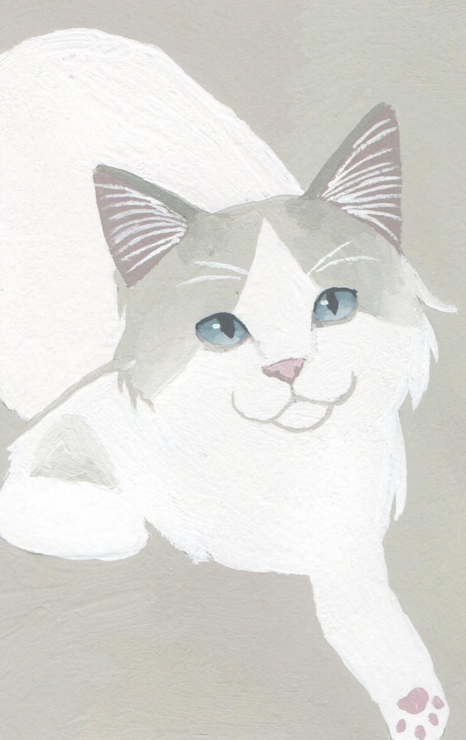 猫の絵 波端のイラストと絵のブログ