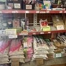 【日本の食材が買える？！】日系スーパーマーケットに行ってきました♪の記事より