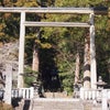 赤城神社の画像
