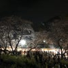 【春】はるさんのブログ【桜】の画像