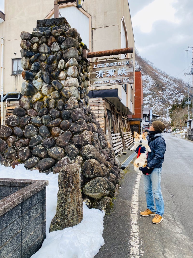 初めてのウキウキ車中泊旅行 新潟へ 年冬 2日目その1 あむとの足跡 Amuのいる風景