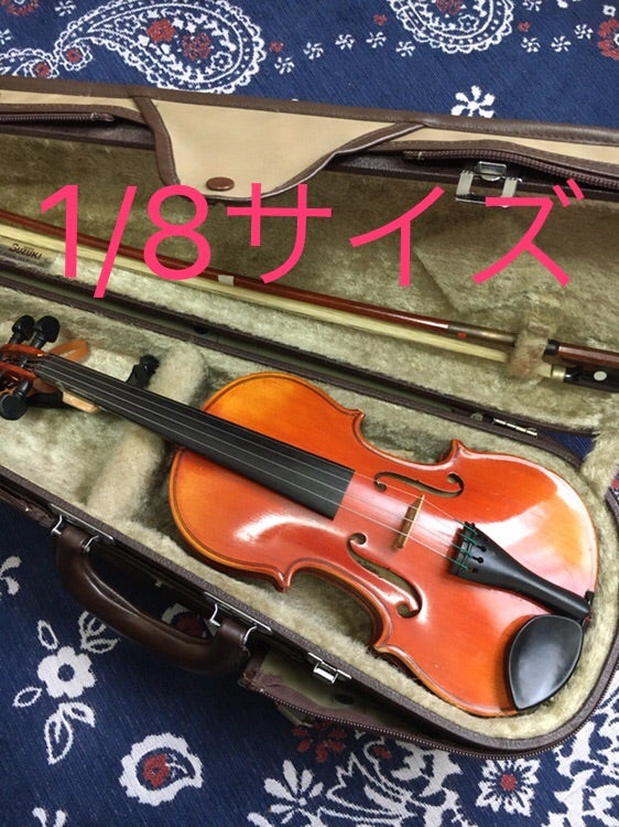 メーカー再生品】 PIRASTRO Eudoxa 3141 バイオリン弦 オイドクサ E線
