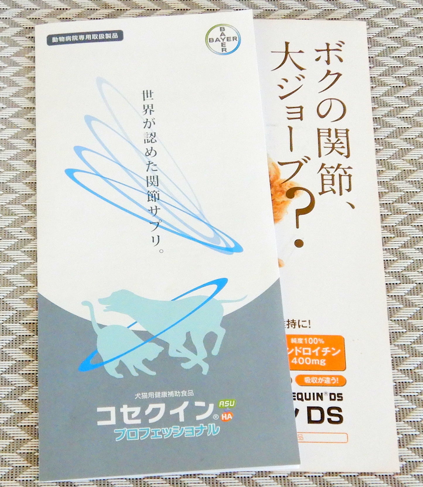 希望を託して購入した関節サプリメント Nonまま家族のシンプルライフ 希望を託して購入した関節サプリメント Nonまま家族のシンプルライフ