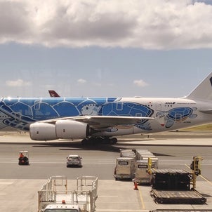 ANAハワイ、A380『フライングホヌ』に乗ってみた。　搭乗記の画像