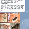 MIU(クレにゃん)ちゃんの里親さまからの画像