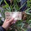 グッドマンの画像