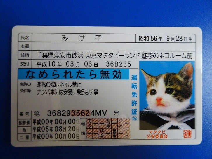 なめ猫免許証 Yokohamaと横浜 ２nd