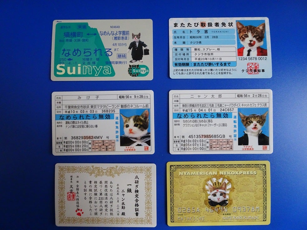 なめ猫免許証 | yokohamaと横浜 ２nd