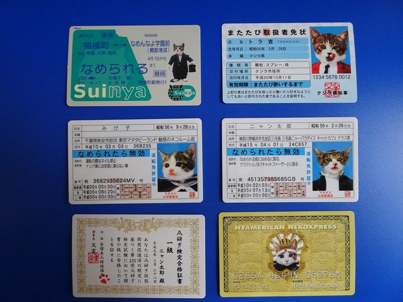 なめ猫免許証 Yokohamaと横浜 ２nd