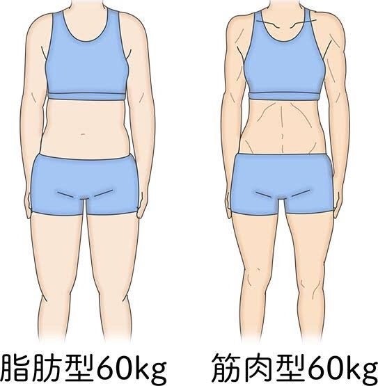 体脂肪を削るには 広島 プライベートジム ダイエット・部位別ダイエット専門 女性 パーソナルトレーナー 松浦加奈
