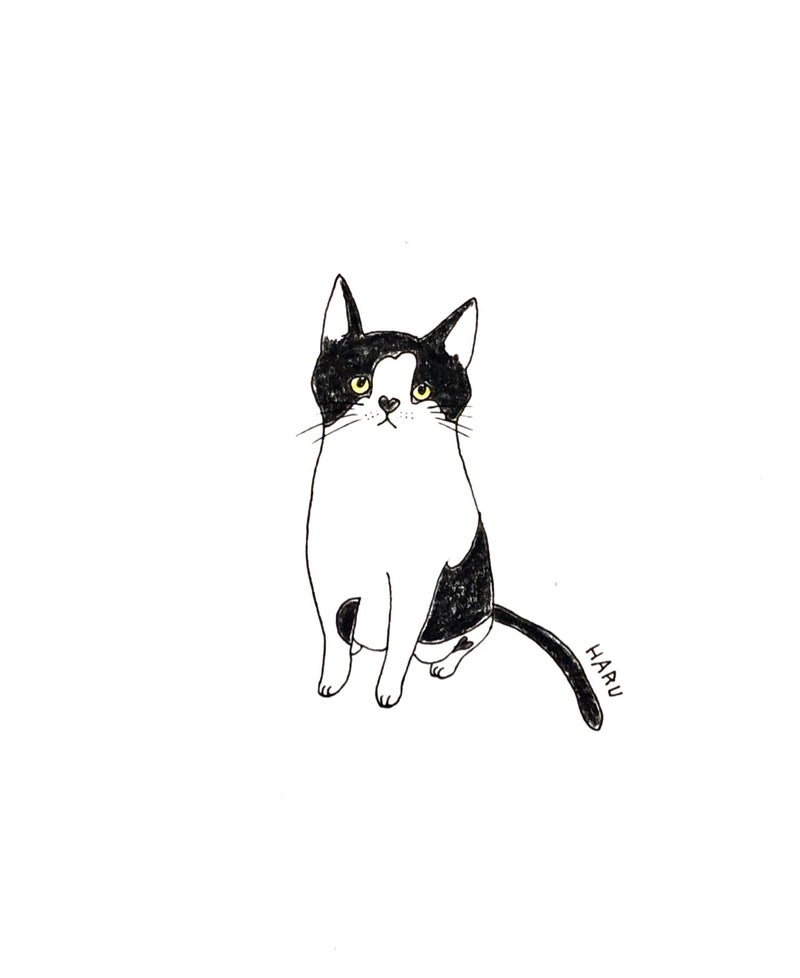 Instagramからのリクエストのイラスト猫 宮本はるのペットの似顔絵 アートを日常に