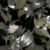 爆発感染の重要局面・・・だと(>_<)の画像