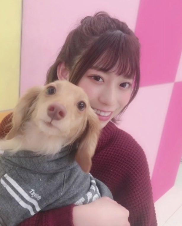 てち犬の記事画像