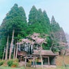 トトロの森、栗灰神社は花盛りの画像
