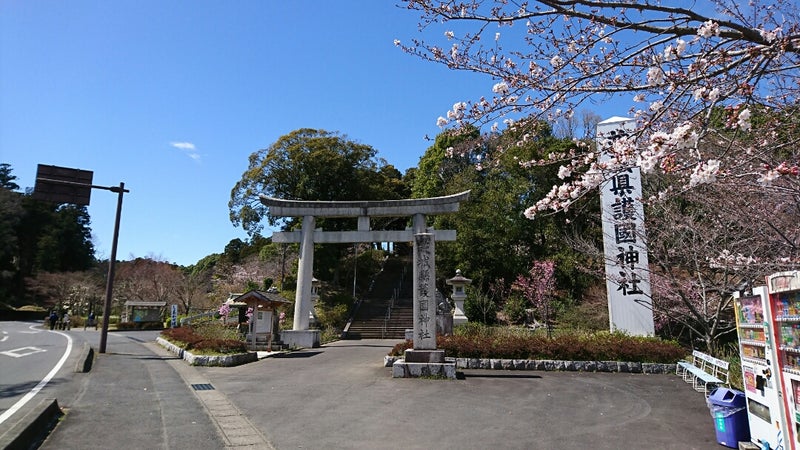 茨城県護国神社(茨城県水戸市)桜巡り～可憐なユキヤナギ  もっともっと巡りたガール