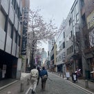 「国民に事態を受け入れてもらう時がきた」と判断されるタイミングの記事より
