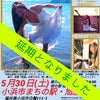 坂田佳子、地元帰郷公演が開催延期。アルバムの歌詞を一部Twitterに掲載の画像