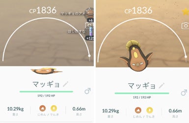 野生の マッギョ を初ゲット ポケモンgo いんぴん爺の徒然語り