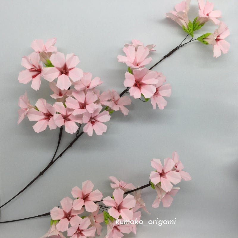桜が咲きました くまちゃん専務の折り紙日記