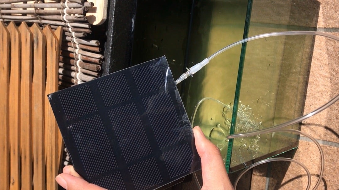 太陽光発電 ソーラーパネル 太陽電池 でビオトープにエアーポンプを設置してみた チェリーの熱帯魚とエビログ