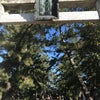 吉田神社の御朱印の画像