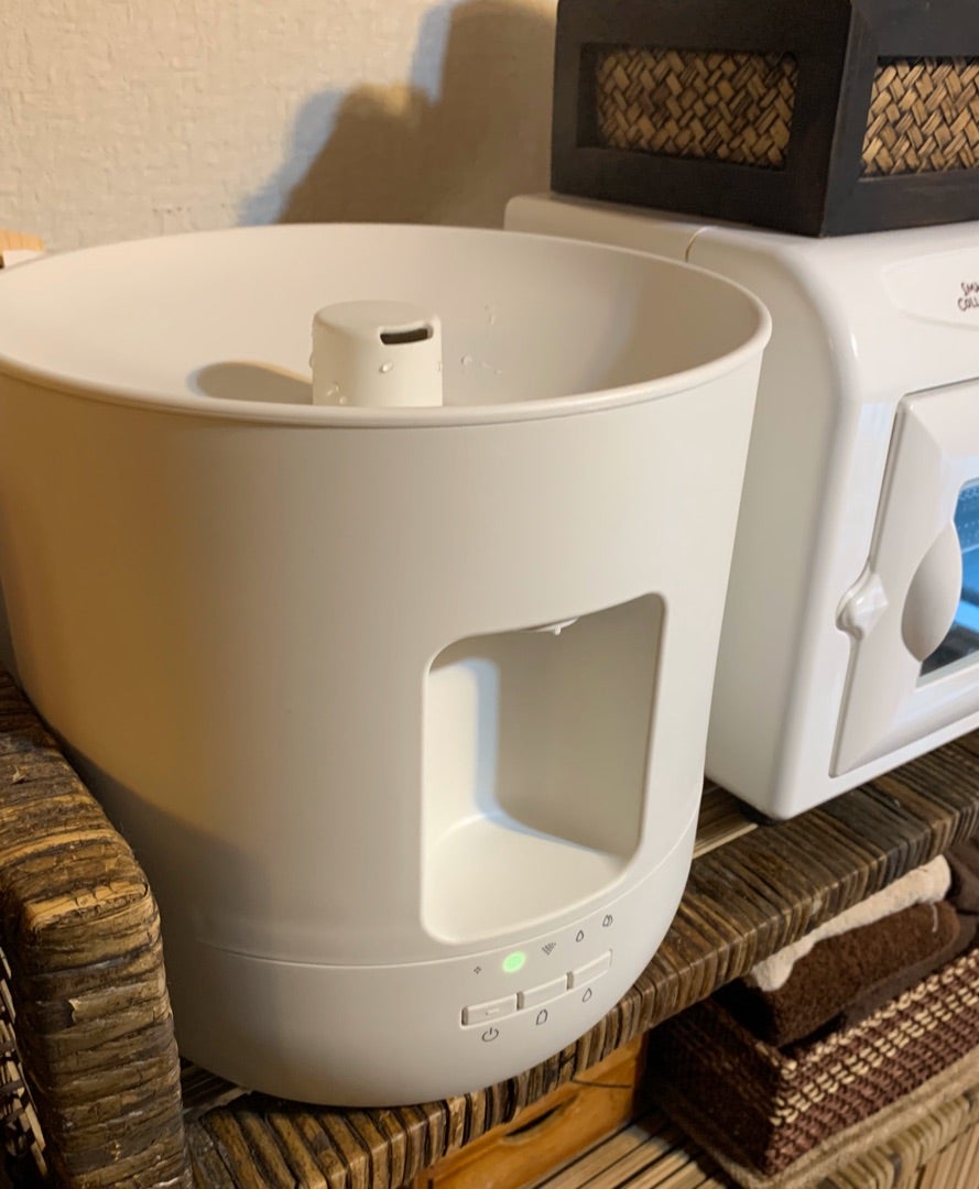 コロナウイルス感染症対策についての記事画像