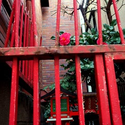 画像 Asakusa Photos ~浅草、古都の断片~ の記事より 1つ目