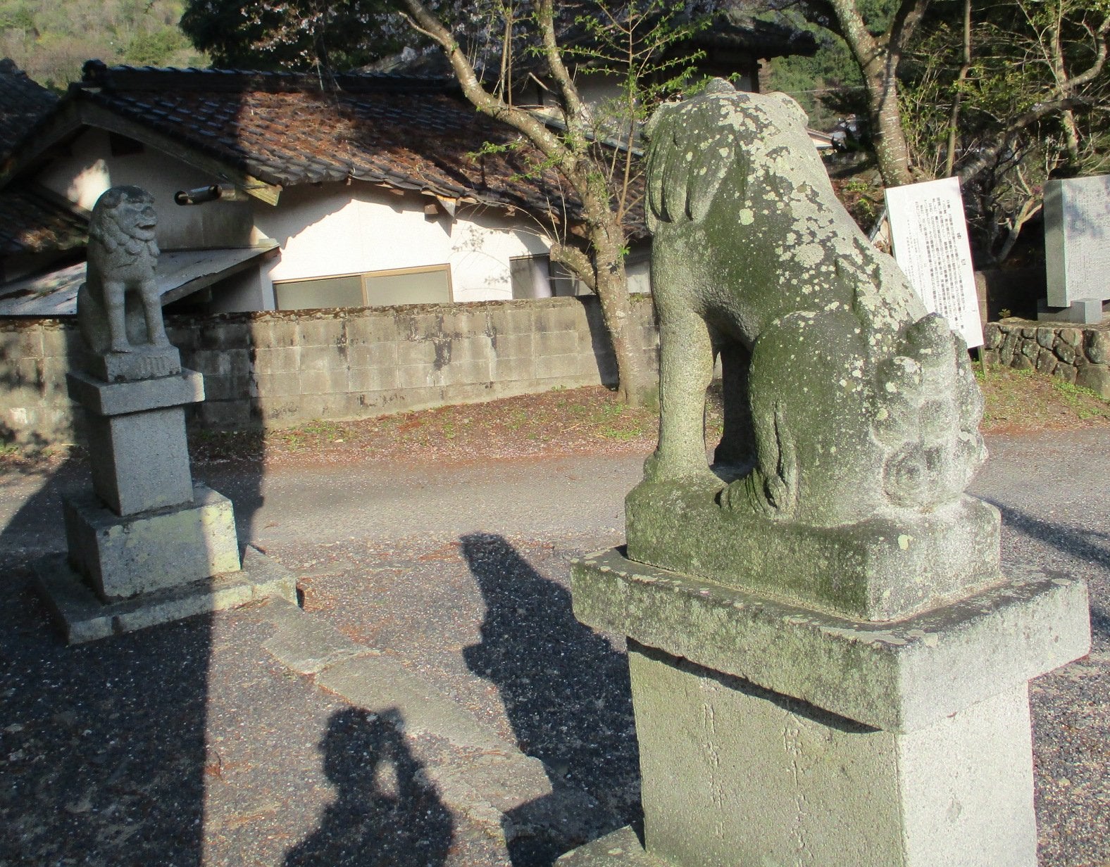 岩国市玖珂町の比叡神社、805年 (延暦24年) 創建、２２２段の石段、桜がきれいアベマ開局記念