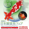 2020年　第37回　日本観賞魚フェア　※開催中止の画像
