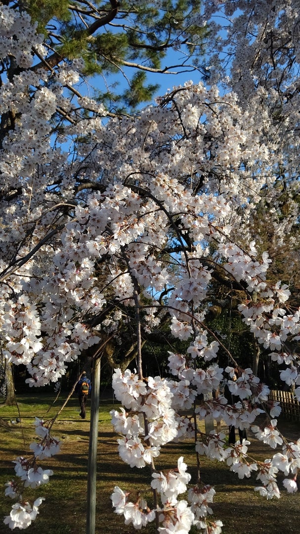 みなさま久しぶりですの記事画像