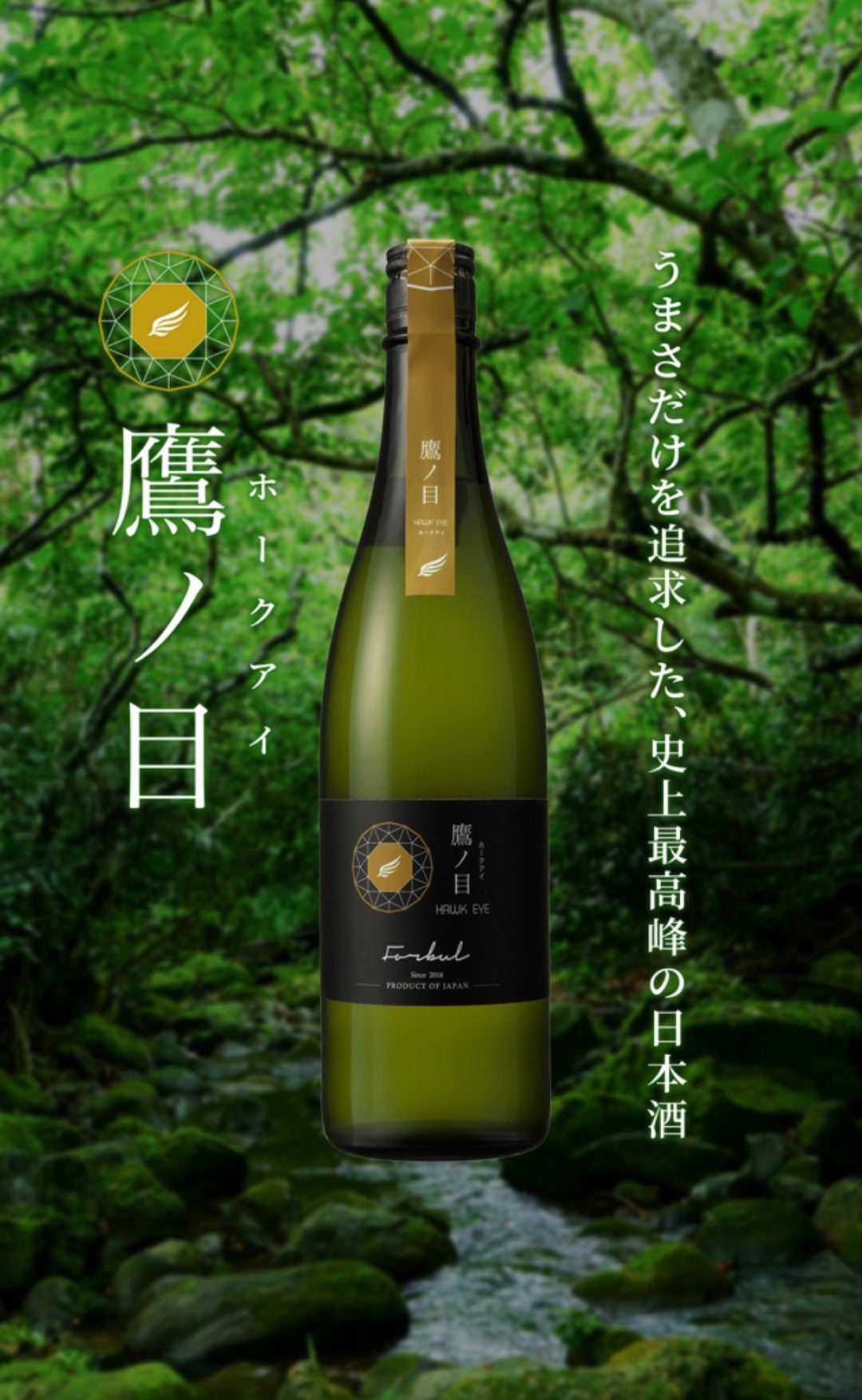 史上最高峰の日本酒「鷹ノ目 ホークアイ」 | グルメとお酒と美容と私 