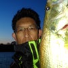 庄内川でバス釣り　トップにドカン　4月14日夕方～の画像