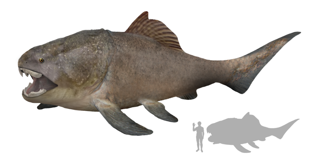 絶滅の危機 ボルネオ7番のブログ