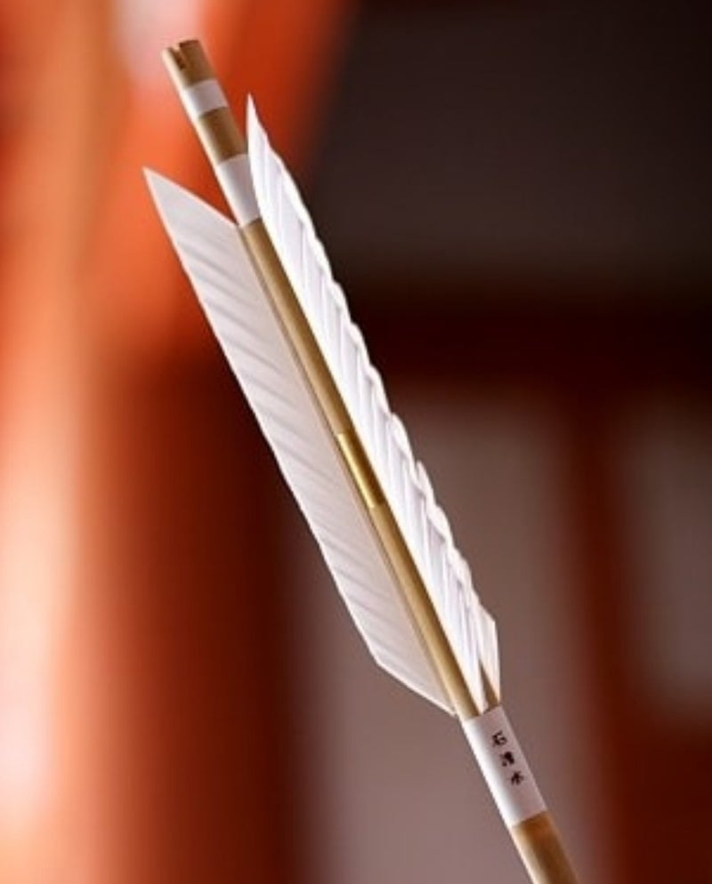 立つ 意味 白羽 の が 矢 白羽の矢が立つの意味と使い方を例文で！語源と由来や英語表現！