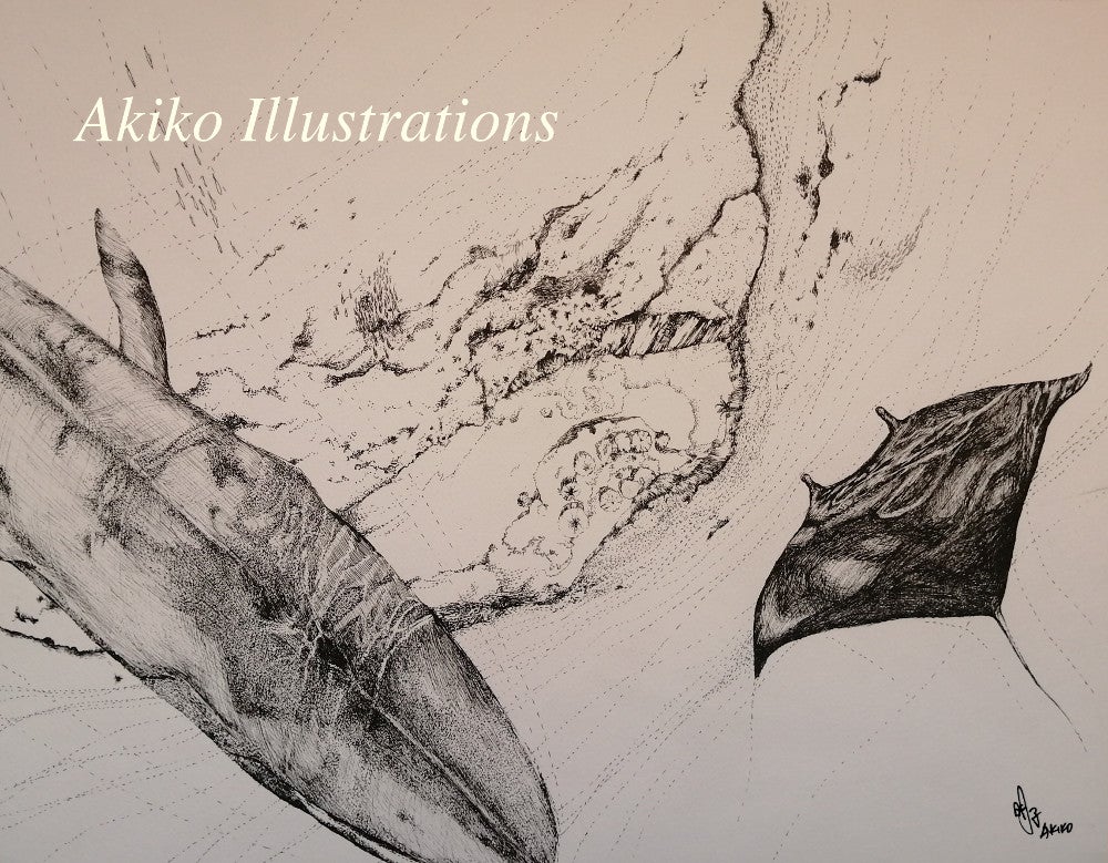 イラスト ペン画 海の動物 くじらとえい Akiko Illustrations