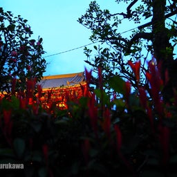 画像 Asakusa Photos ~浅草、古都の断片~ の記事より 1つ目