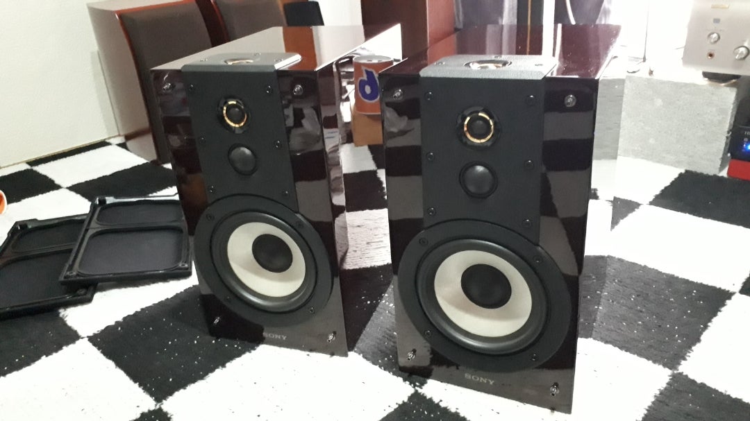 スピーカーふぇち ソニーSS-HW1買ってみた | 1度きりの人生 スピーカーふぇち ソニーSS-HW1買ってみた | 1度きりの人生