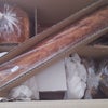 千葉のパン焼き小屋zopfのパンが届きました～。の画像