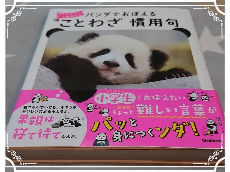 街で見つけたpandaちゃん ことわざ本編 Panda Circleのブログ