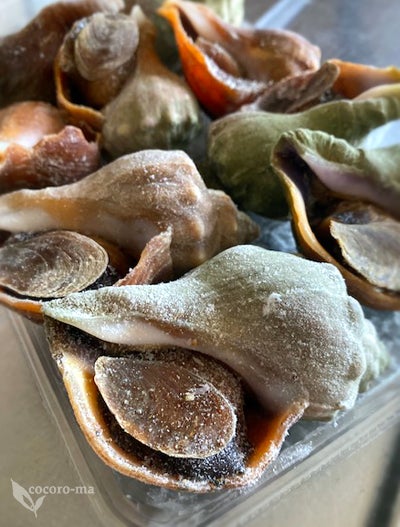 高槻にいながら北海道の ツブ貝の煮付け 焼き鮭 を味わう日 こころまの ま 食べて 飲んで 出会って 高槻にいながら北海道の ツブ貝の煮付け 焼き鮭 を味わう日 こころまの ま 食べて 飲んで 出会って